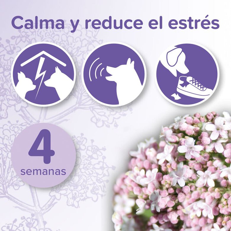 Beaphar No Stress Difusor e Recarga para cães , , large image number null